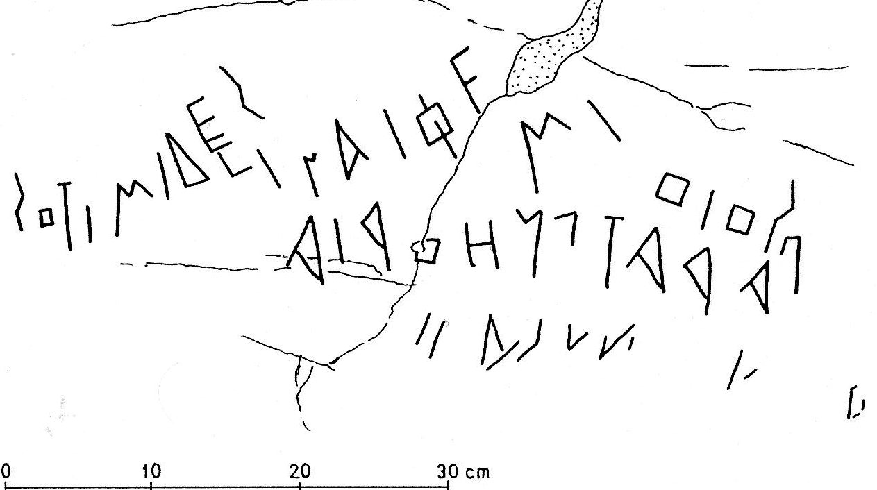 Bultrighini Fig.10