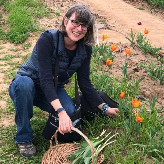 Corrine Pache picking orange tulips.